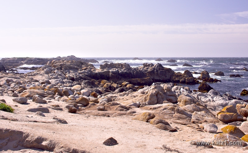 17 Mile Drive 7